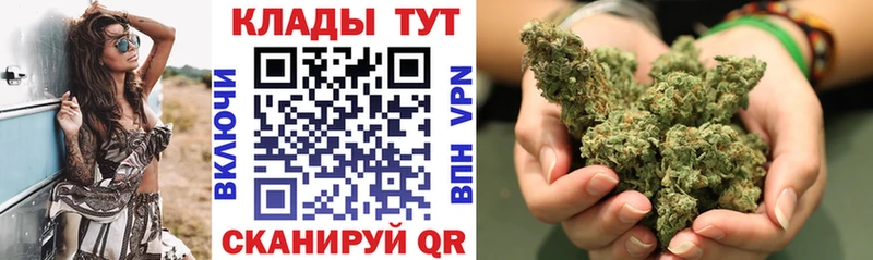 Купить наркотики сайты Кинешма КОКАИН  Alpha PVP  Меф  ГАШИШ  Псилоцибиновые грибы  Каннабис 