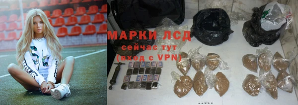 ALPHA PVP Строитель