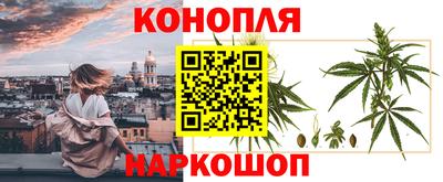 дмт Сланцы