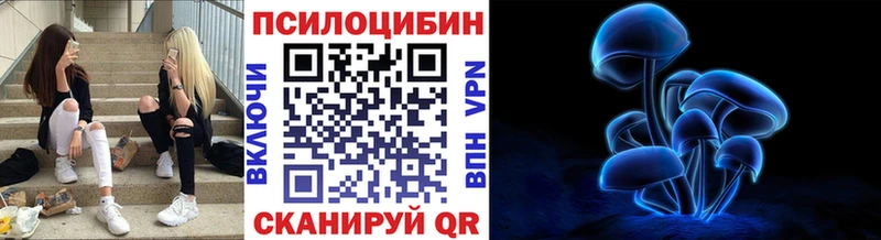 Галлюциногенные грибы мицелий  купить   Кинешма 