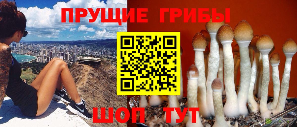 Галлюциногенные грибы Magic Shrooms Кинешма